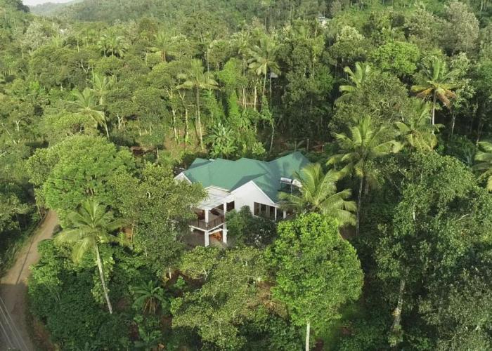 Coffee and Pepper Plantation Homestay