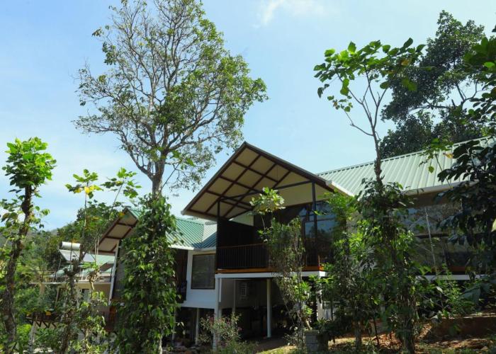 Coffee and Pepper Plantation Homestay