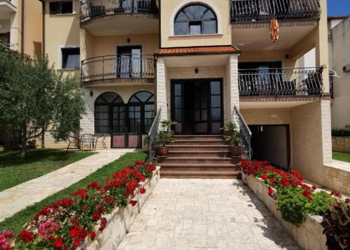 Apartments Ante