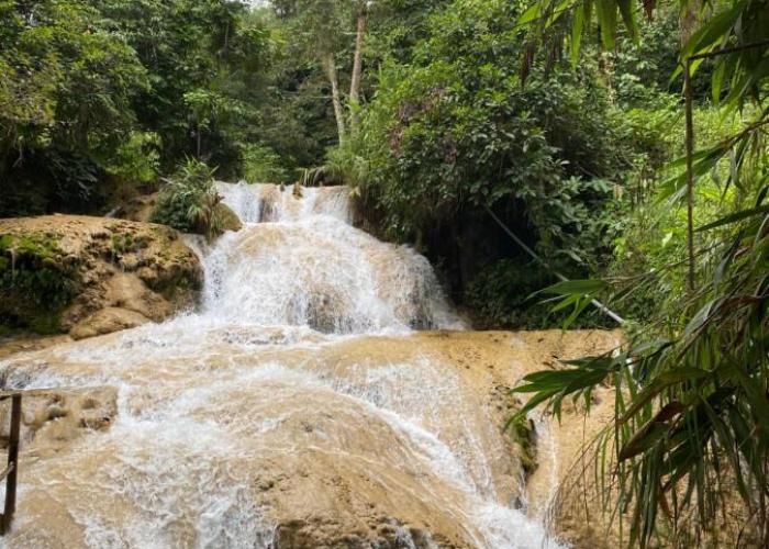 Pù luông homestay Ngọc Dậu