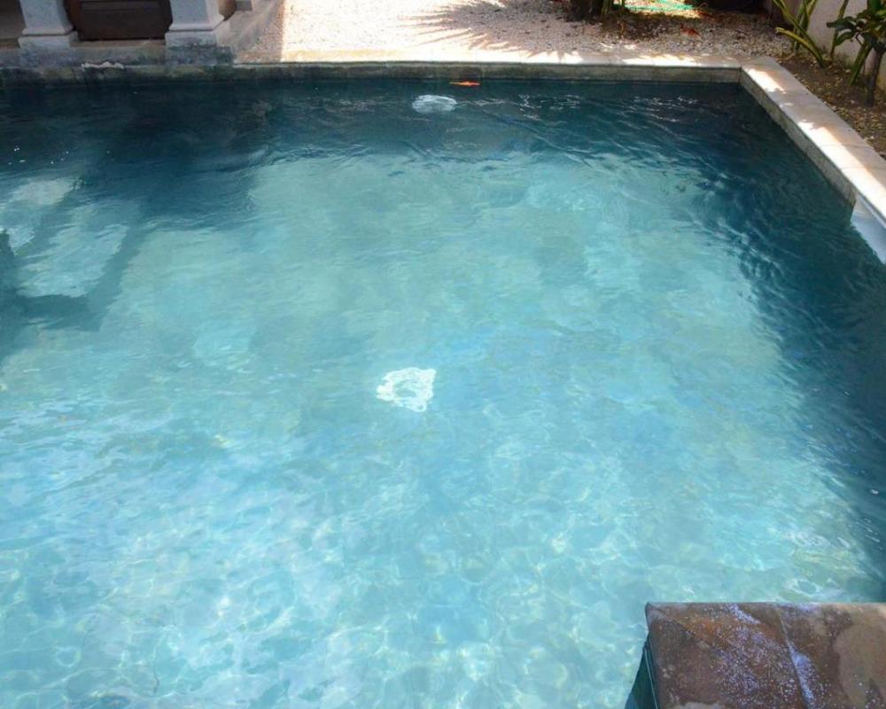 фото Villa Dodo