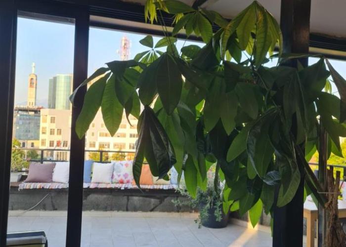 The Rooftop Hostel