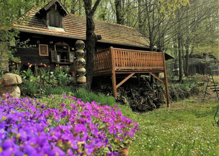 Country house with a pool in Medvednica Nature Park