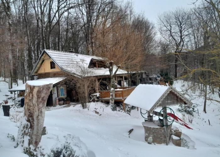 Country house with a pool in Medvednica Nature Park