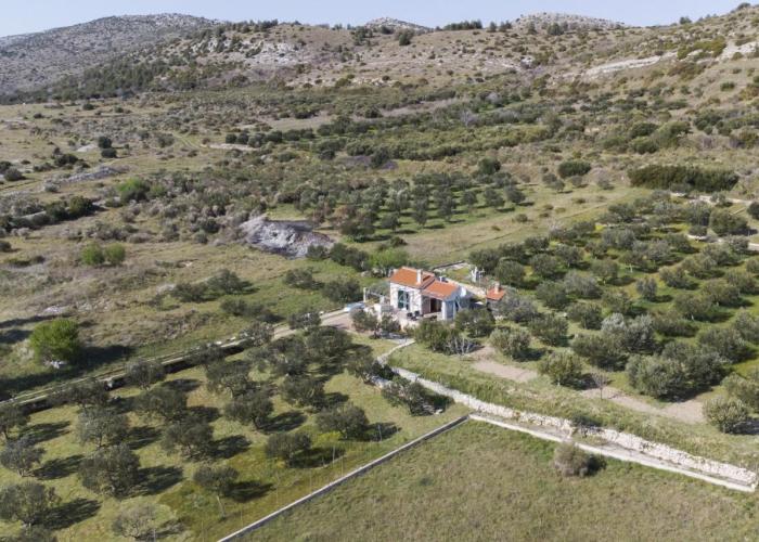 Holiday home Olive