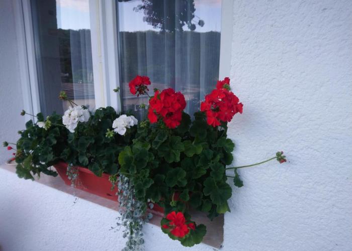 Apartament Relax