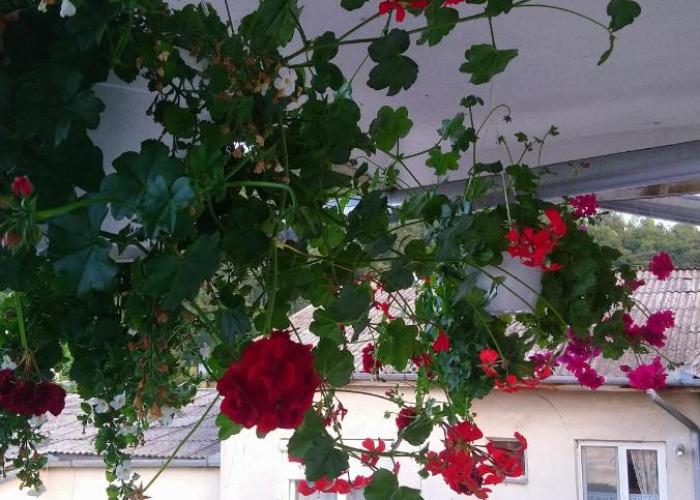 Apartament Relax