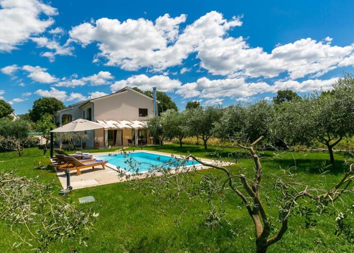 Pool Premium Apartment