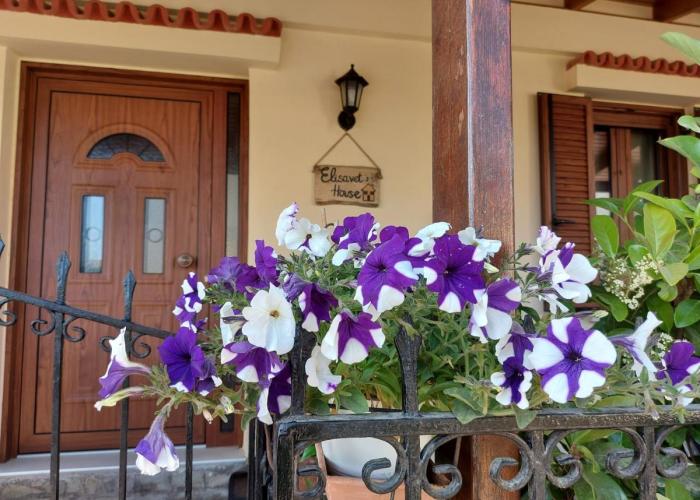Elisavet's House
