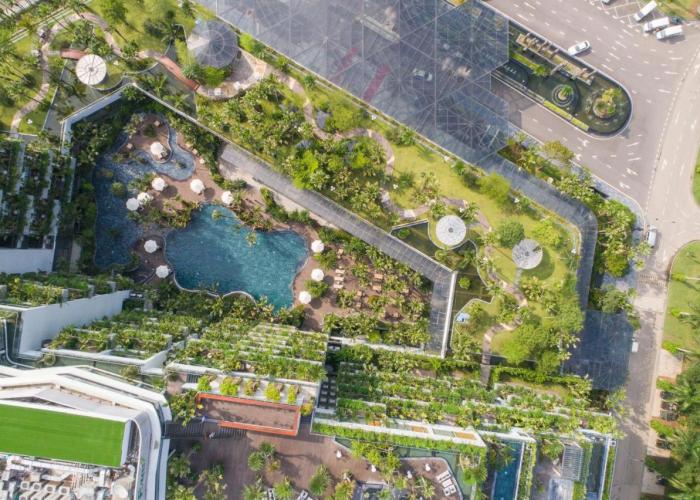 Forest In The Sky - Flamingo Dai Lai Resort
