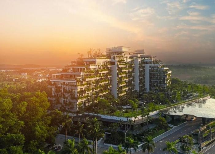 Forest In The Sky - Flamingo Dai Lai Resort