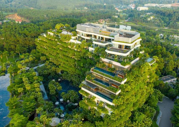 Forest In The Sky - Flamingo Dai Lai Resort