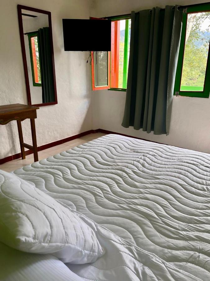 фото Hostal Bamboo
