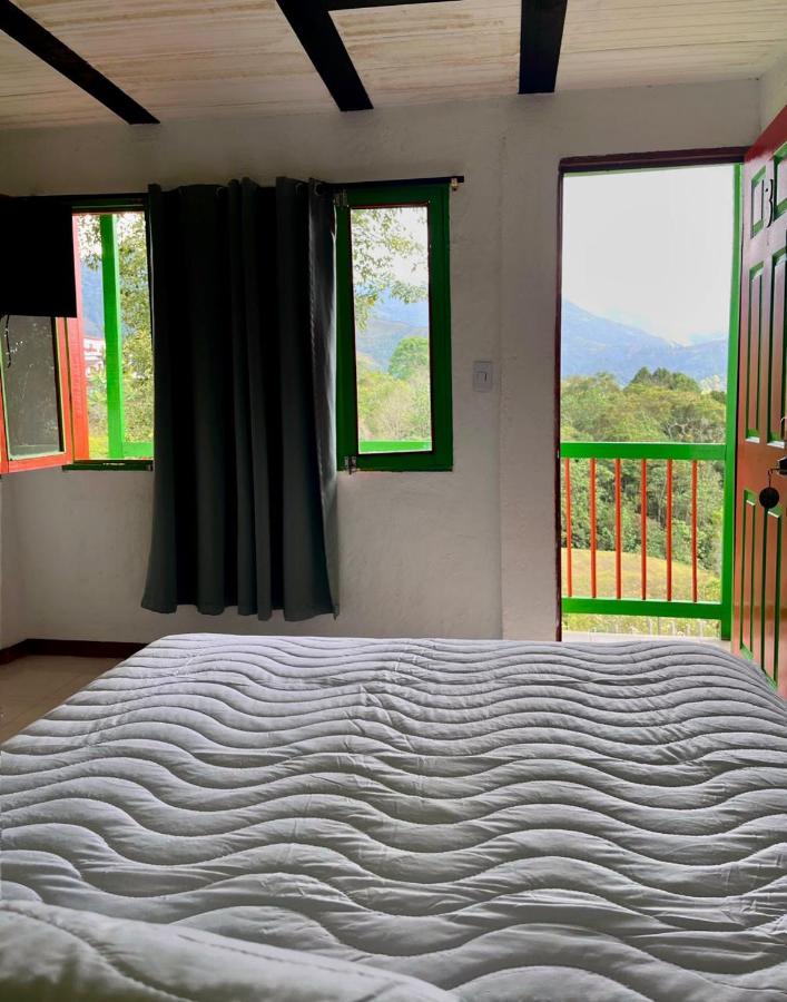 фото Hostal Bamboo