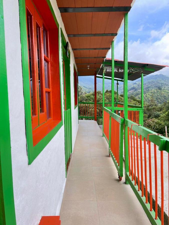 фото Hostal Bamboo