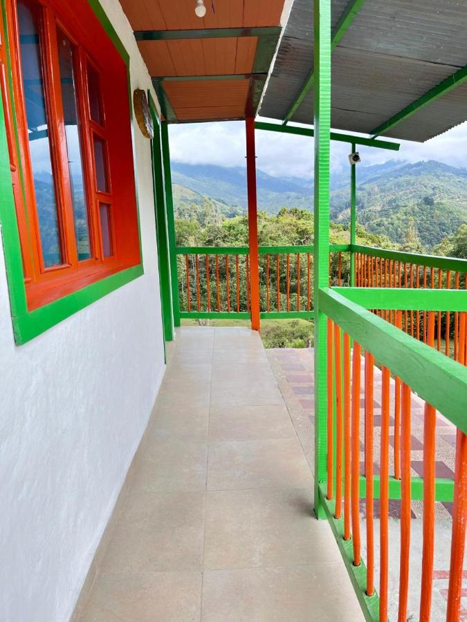 фото Hostal Bamboo
