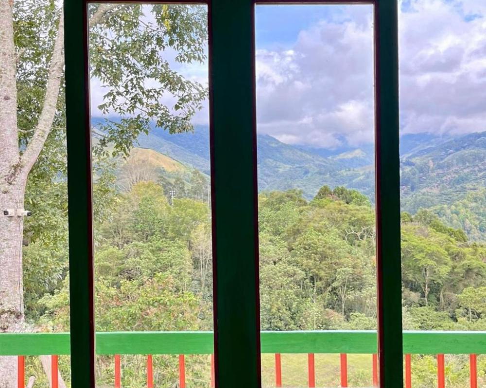 фото Hostal Bamboo