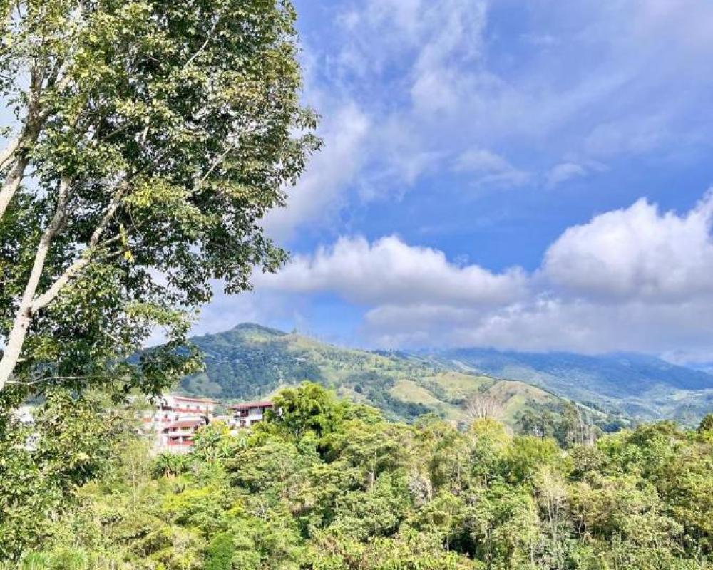 фото Hostal Bamboo