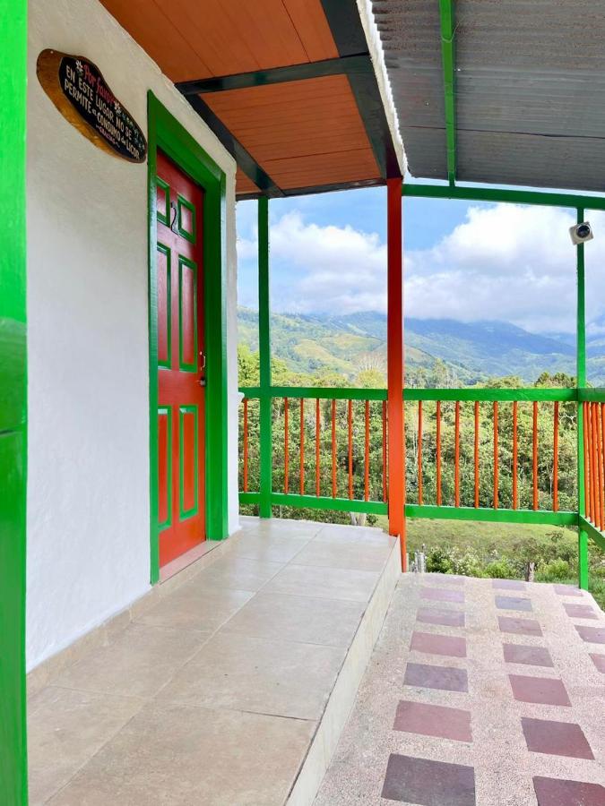фото Hostal Bamboo