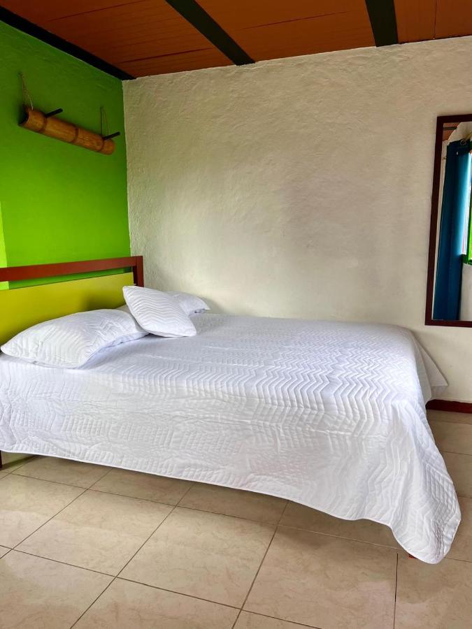 фото Hostal Bamboo