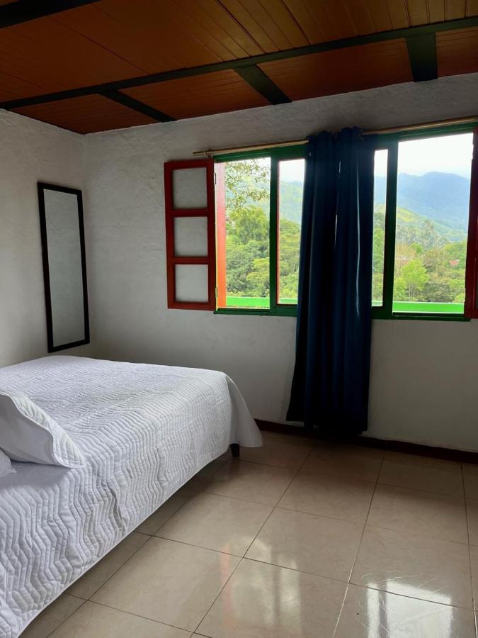 фото Hostal Bamboo
