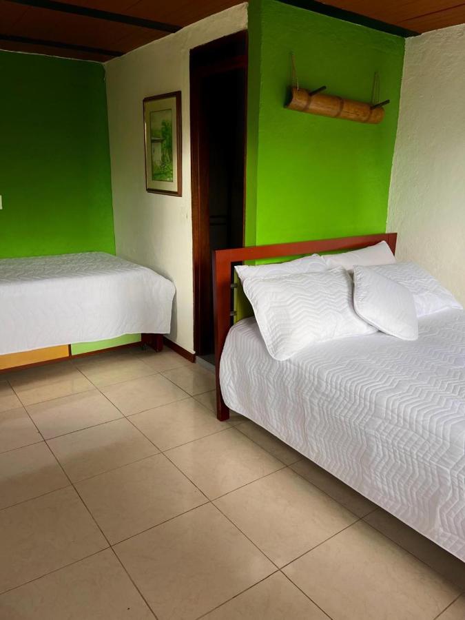 фото Hostal Bamboo