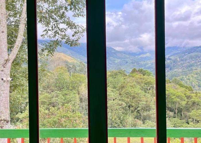 Hostal Bamboo