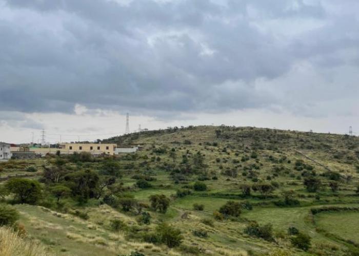استراحة الذروة