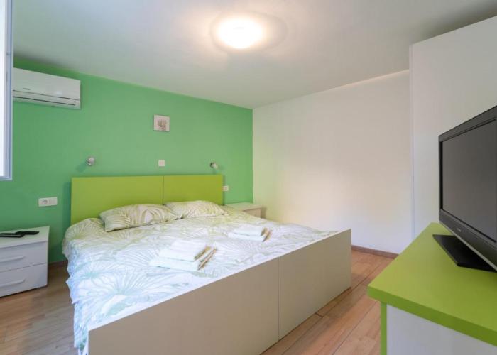 Apartment Fly
