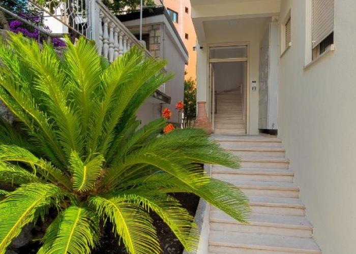 Apartment Eukaliptus