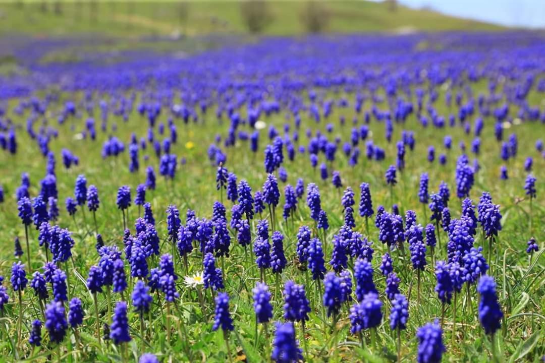фото Yıldız Tepe Otel&Pansiyon