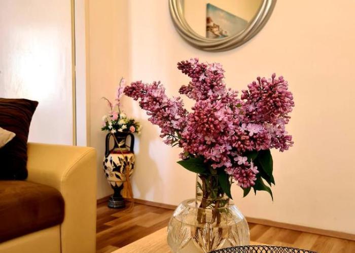 Nilaj Apartment