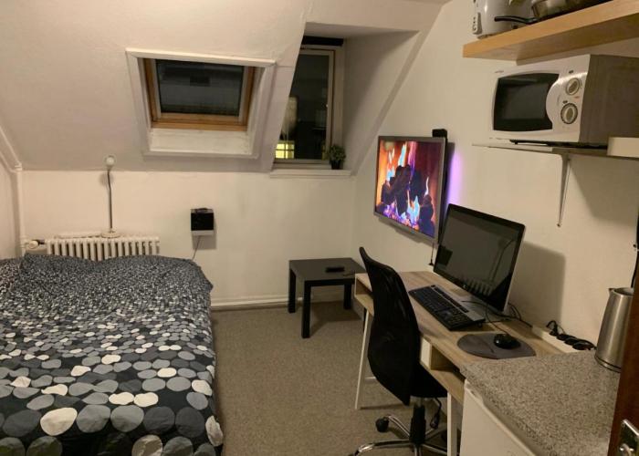 Central & Cosy Studio + Free Bikes & Netflix