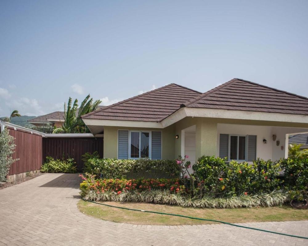 Jamaica Shades @ Cool Shades