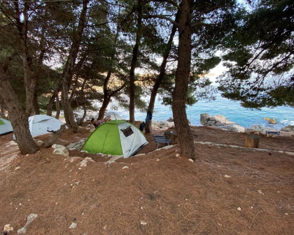 фото Pine Side Camp