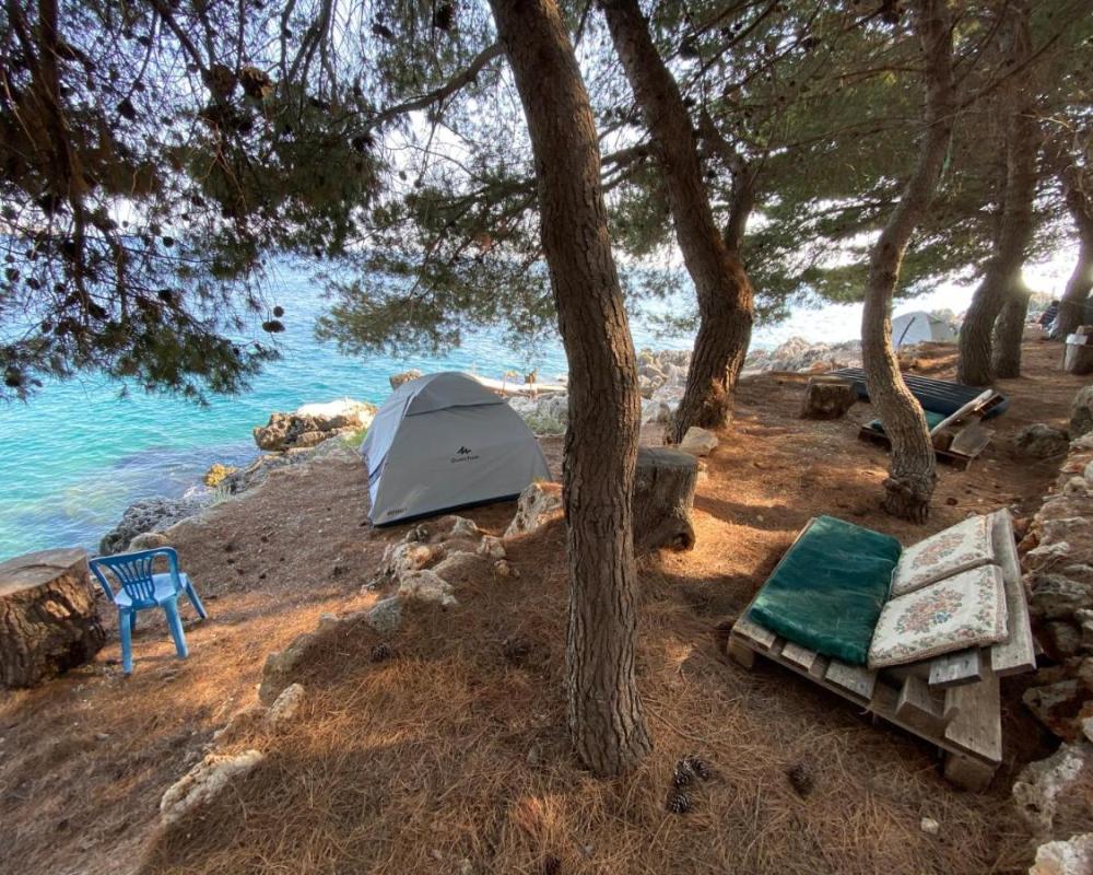 фото Pine Side Camp