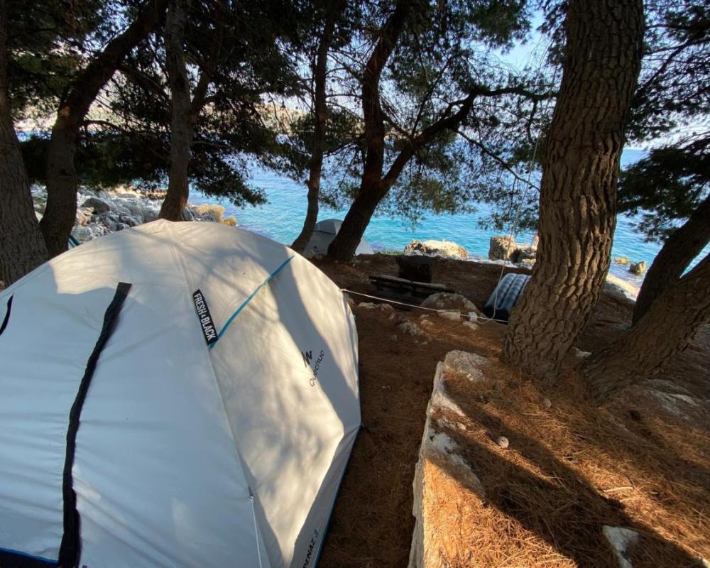 фото Pine Side Camp