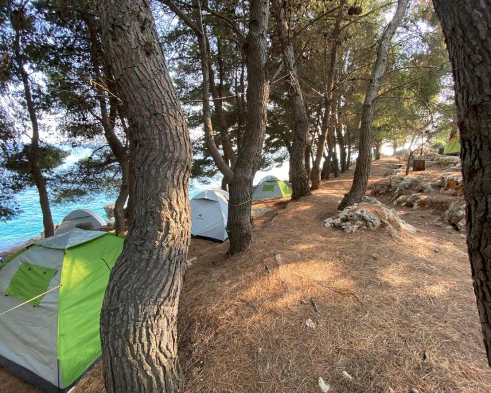 фото Pine Side Camp