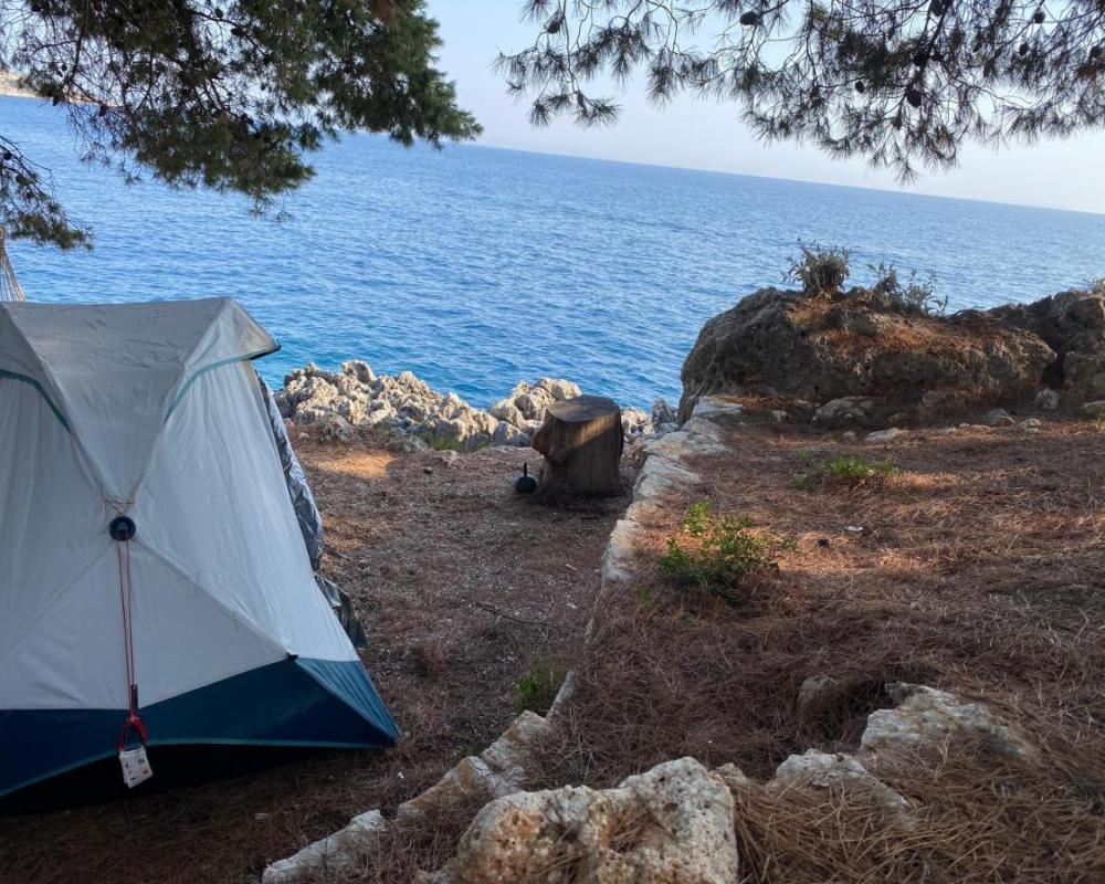 фото Pine Side Camp