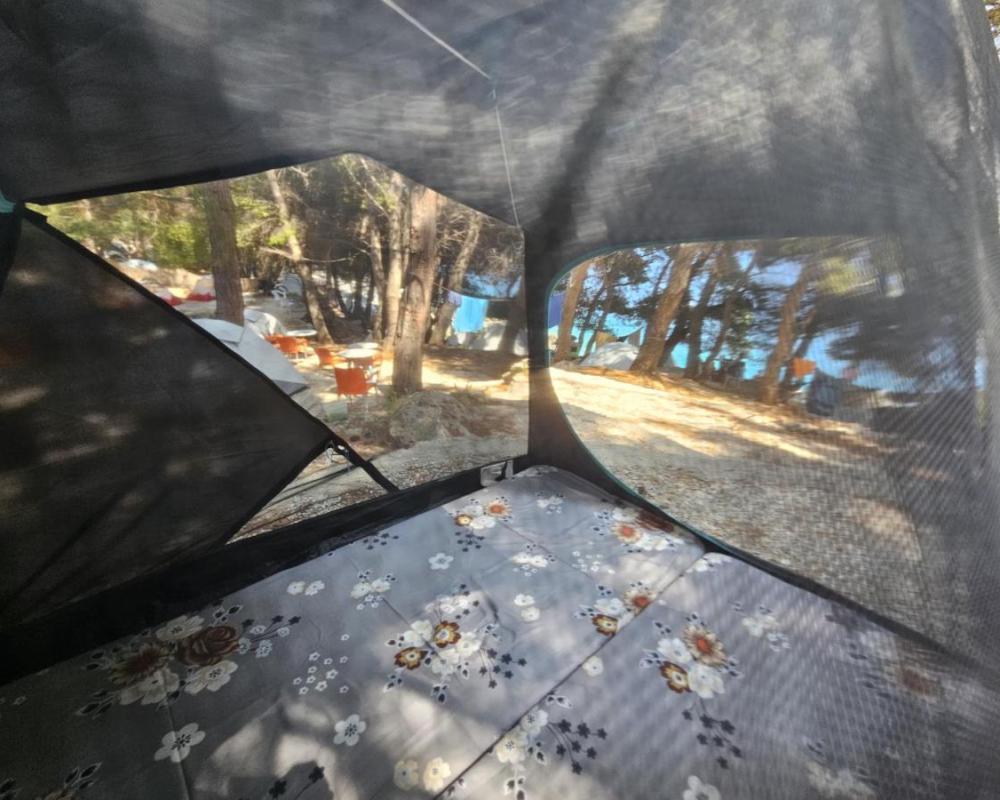 фото Pine Side Camp