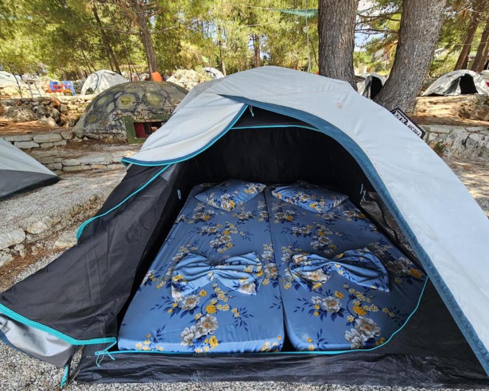 фото Pine Side Camp