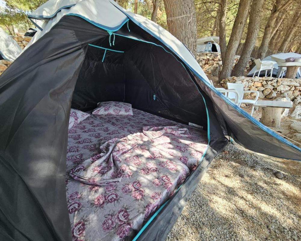 фото Pine Side Camp