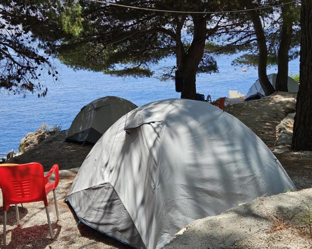 фото Pine Side Camp