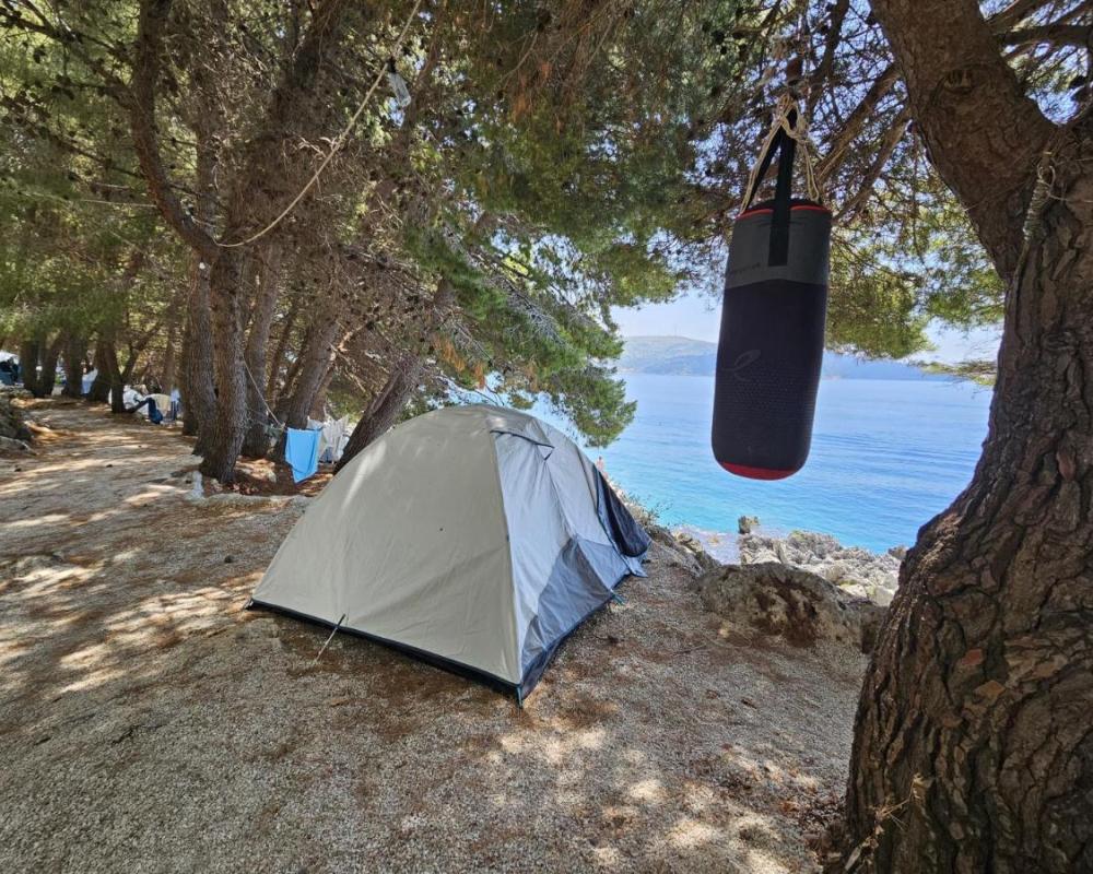 фото Pine Side Camp