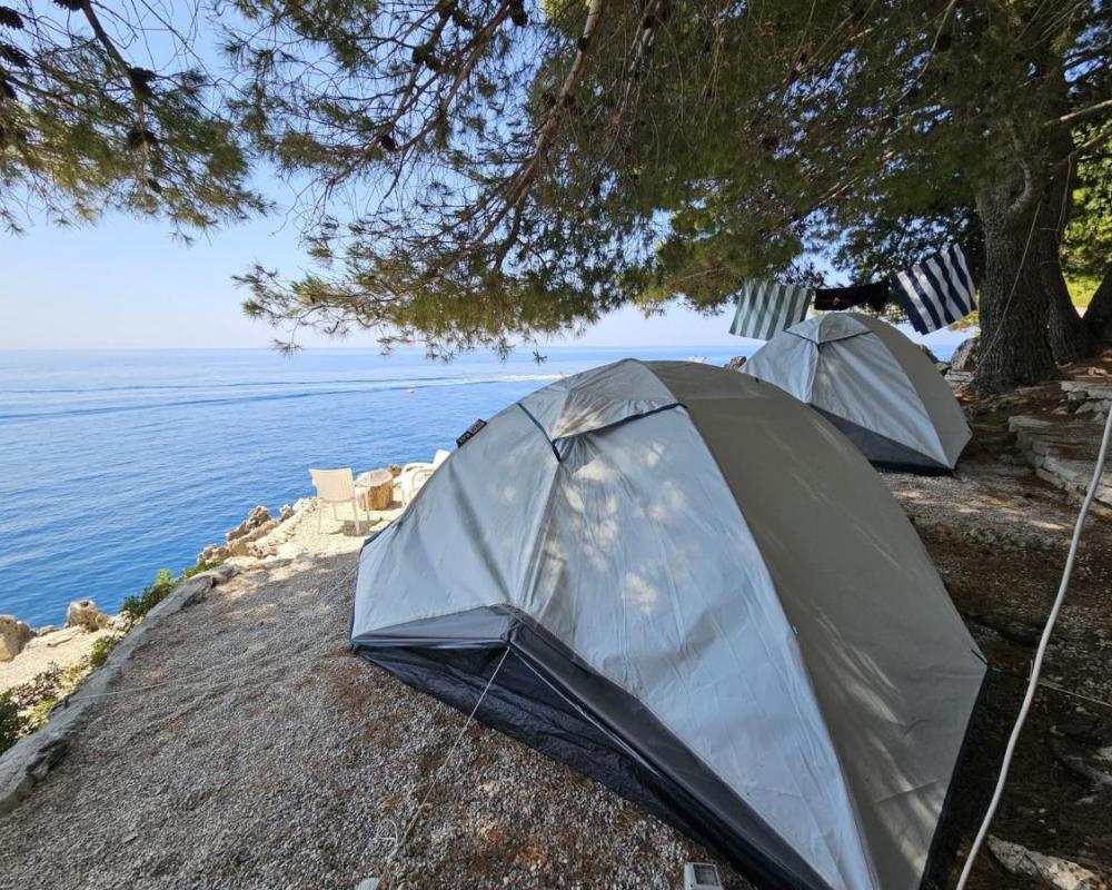 фото Pine Side Camp