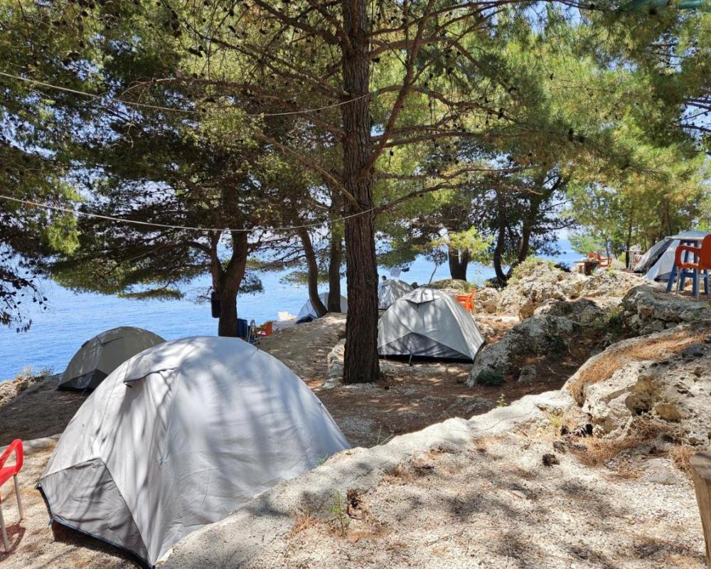 фото Pine Side Camp