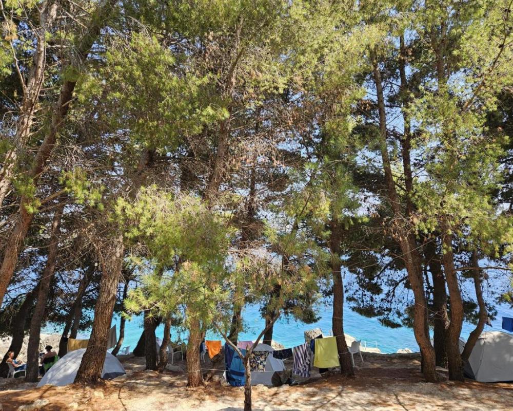 фото Pine Side Camp