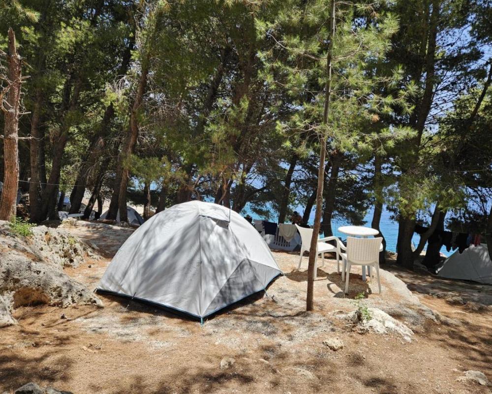 фото Pine Side Camp