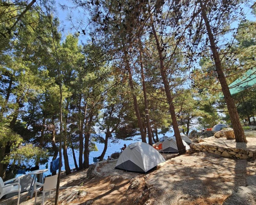 фото Pine Side Camp