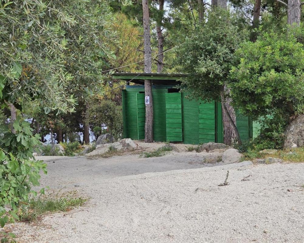 фото Pine Side Camp